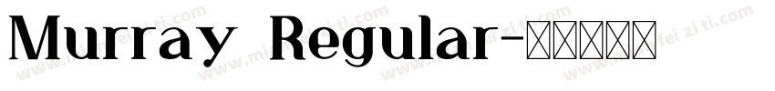 Murray Regular字体转换